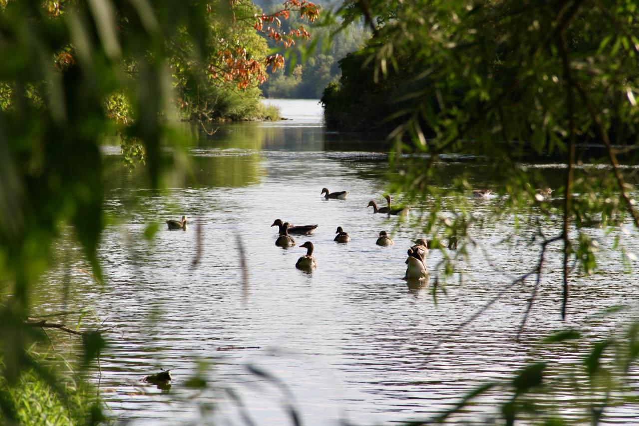 Chalet An Der Donau Direkt Bei Regensburg, 5 Sterne Dtv Pentling Buitenkant foto